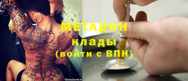 индика Алзамай